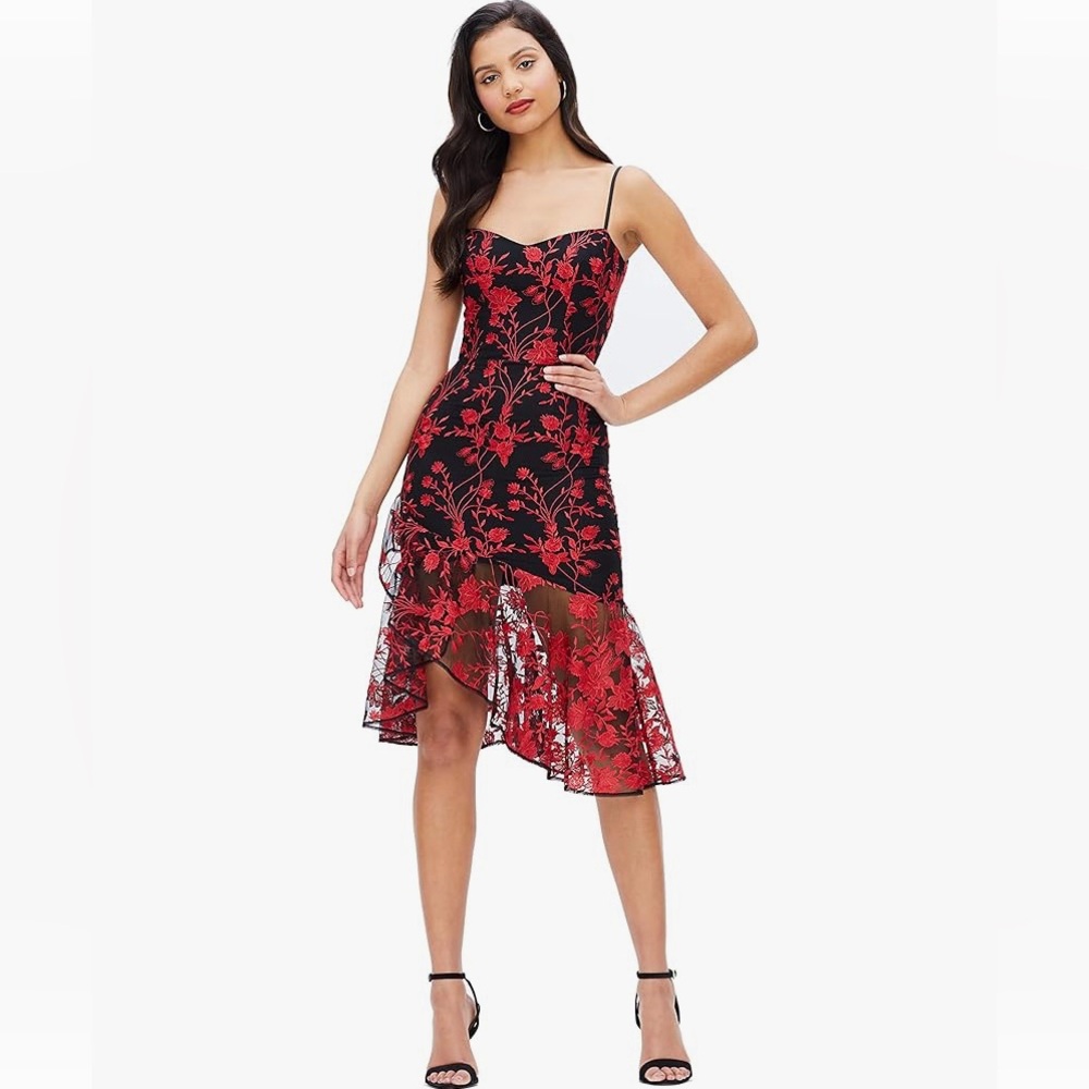 Dress The Population Elegant Black and Red Floral Dress